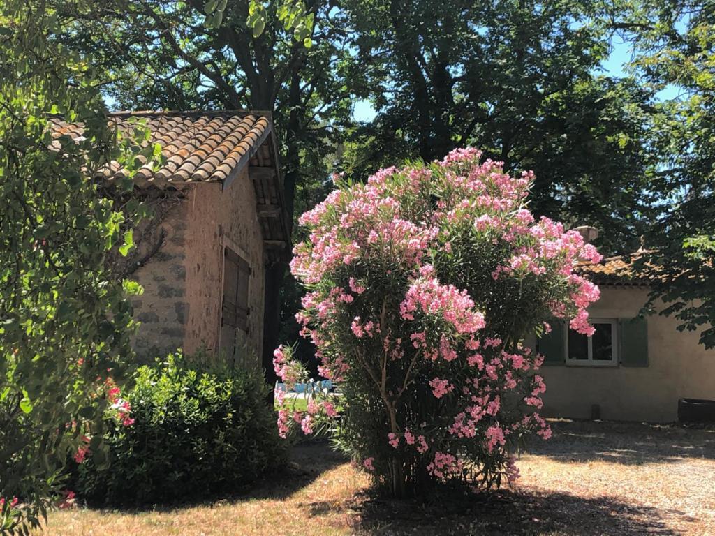 Le Nid Des Corbieres Bizanet Exterior foto