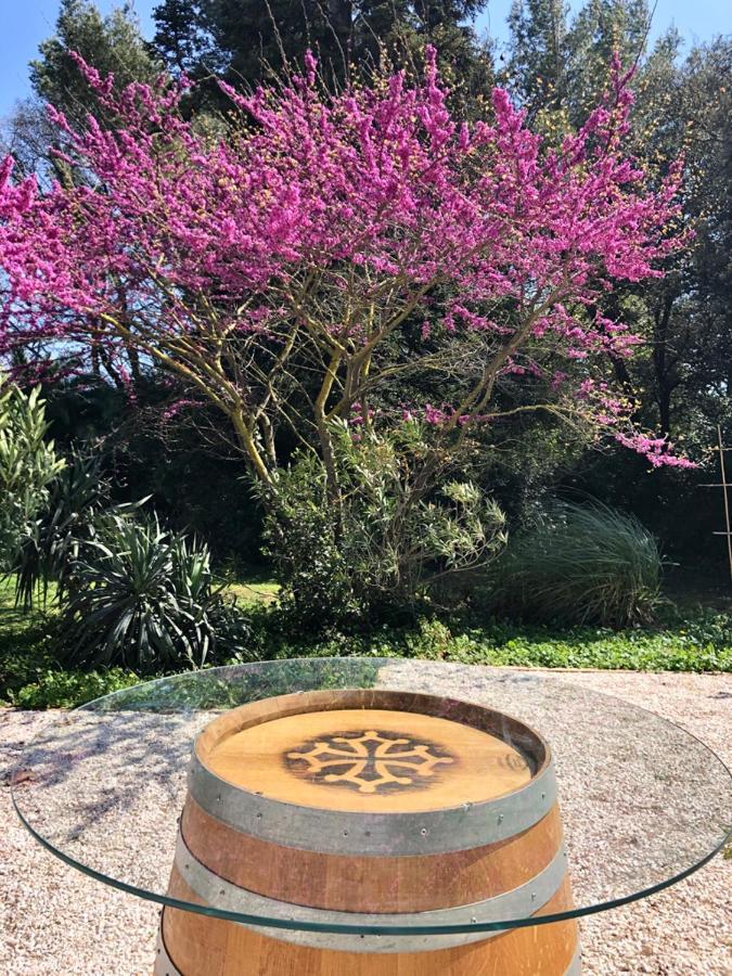Le Nid Des Corbieres Bizanet Exterior foto