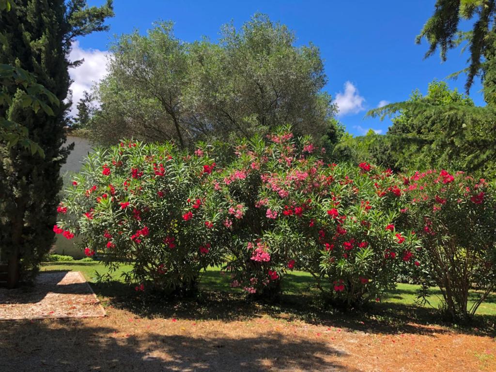 Le Nid Des Corbieres Bizanet Exterior foto